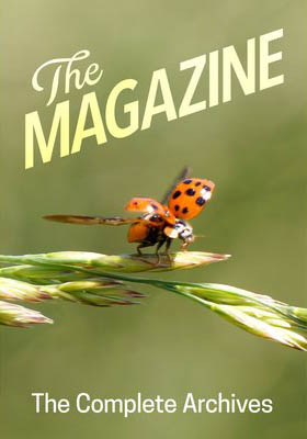 *The Magazine:* The Complete Archive